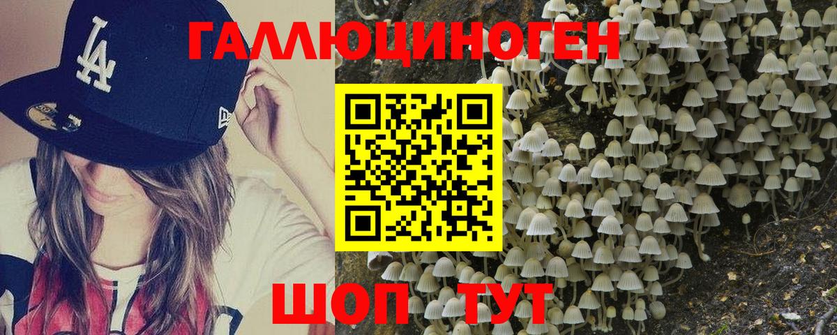 Галлюциногенные грибы Psilocybine cubensis Верхний Уфалей