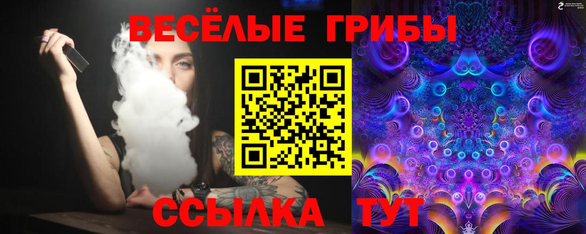 Верхний Уфалей  Галлюциногенные грибы Psilocybe  Вход с VPN 